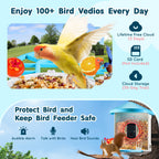 Cozymere Solar Smart Bird Feeder with Camera