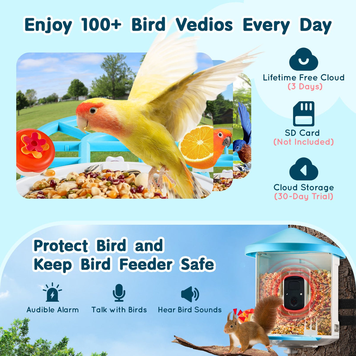 Cozymere Solar Smart Bird Feeder with Camera